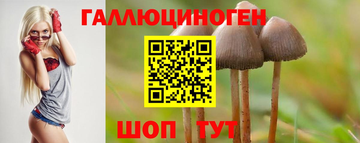 Псилоцибиновые грибы ЛСД  Вход с VPN  Шарыпово 